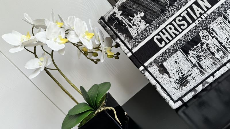 Christian Dior Shopping Bags